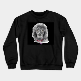 Spencer Crewneck Sweatshirt